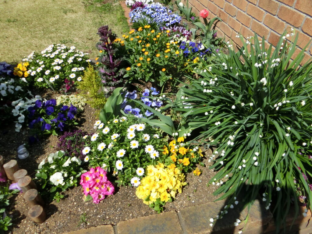 「いつくしみとあわれみ」