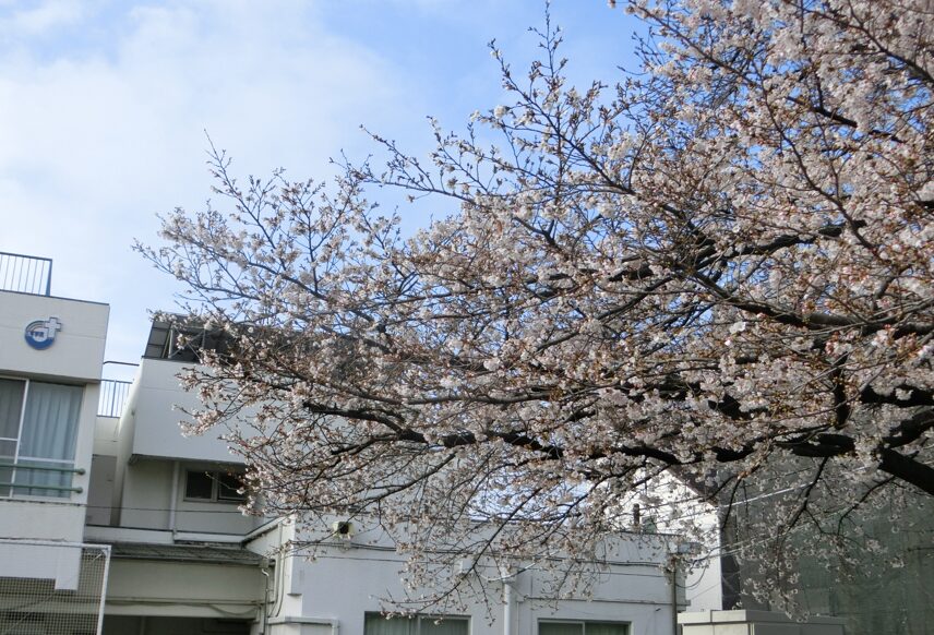 入学式を執り行いました